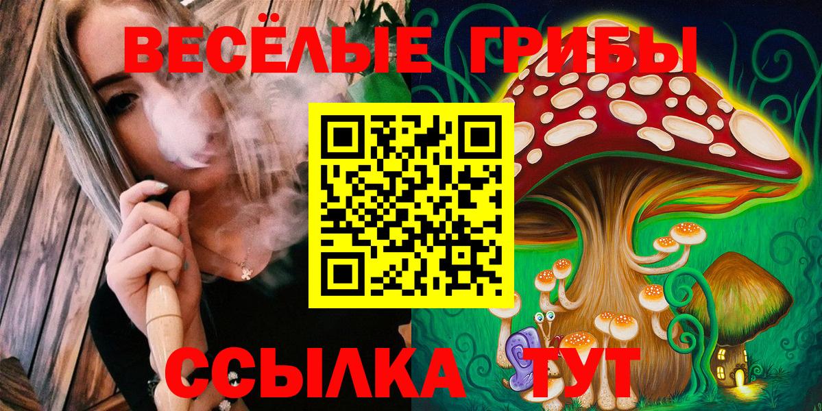 купить наркотики сайты  Псилоцибиновые грибы Psilocybe  Вход с VPN  Ростов Великий 